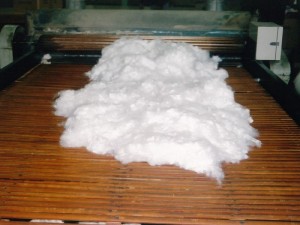 綿の解体